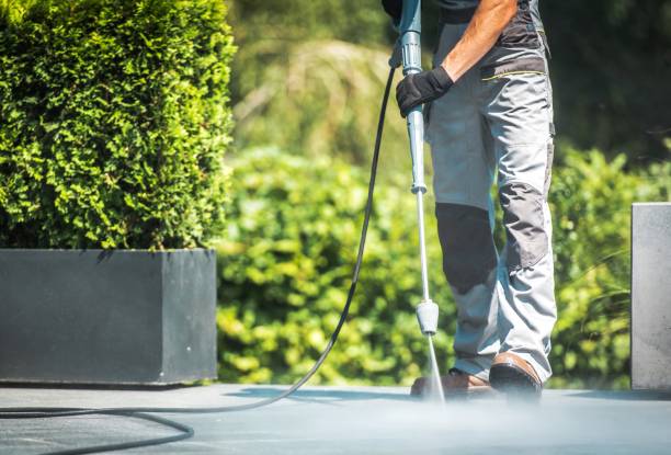 Best Residential Exterior Washing  in Ben Bolt, TX