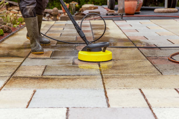 Best Solar Panel Cleaning  in Ben Bolt, TX